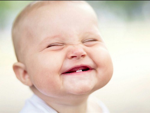 Làm Sao Phân Biệt Được Răng Sữa Và Răng Vĩnh Viễn -2